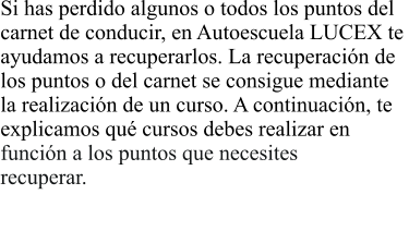 Si has perdido algunos o todos los puntos del  carnet de conducir, en Autoescuela LUCEX te  ayudamos a recuperarlos. La recuperacin de  los puntos o del carnet se consigue mediante  la realizacin de un curso. A continuacin, te  explicamos qu cursos debes realizar en  funcin a los puntos que necesites recuperar.